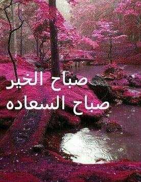 رسائل صور صباح و مساء الخير 2019 4 تصوير الشاشة