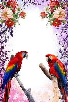 Macaw Birds Photo Frames screenshot 8