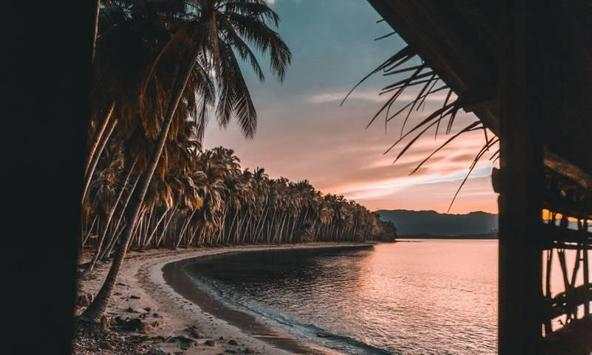 The most beautiful pictures and summer backgrounds screenshot 1