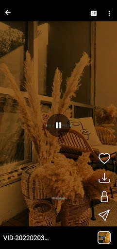 Max player screenshot 2
