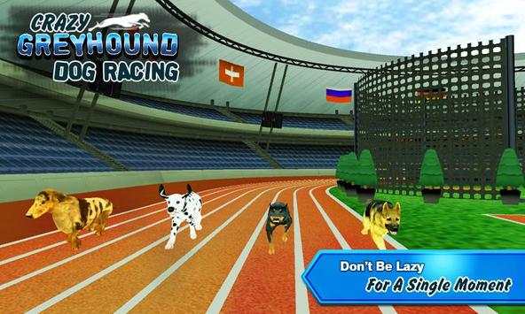 Crazy Greyhound Dog Racing screenshot 7