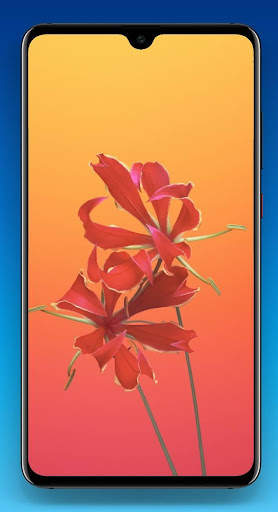 Beautiful Flower Wallpaper HD screenshot 8