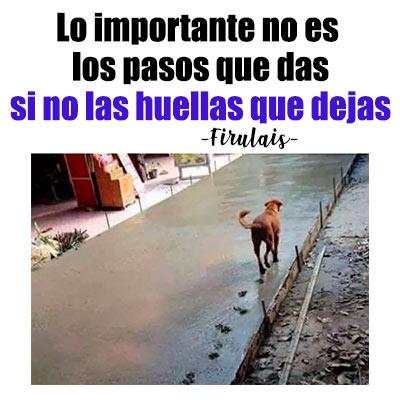Imagenes chistosas screenshot 6