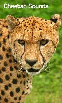 Cheetah Sounds screenshot 1