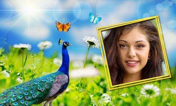 Peacock Photo Frames HD screenshot 2