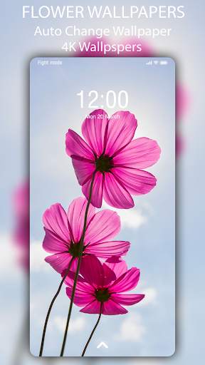 🌺 Flower Wallpaper - Auto Change Wallpaper screenshot 7