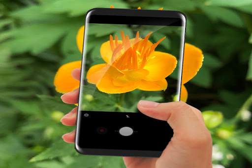 PlantSnap - Plant Identification screenshot 2