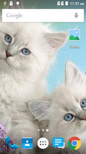 Image Wallpaper-7 screenshot 5