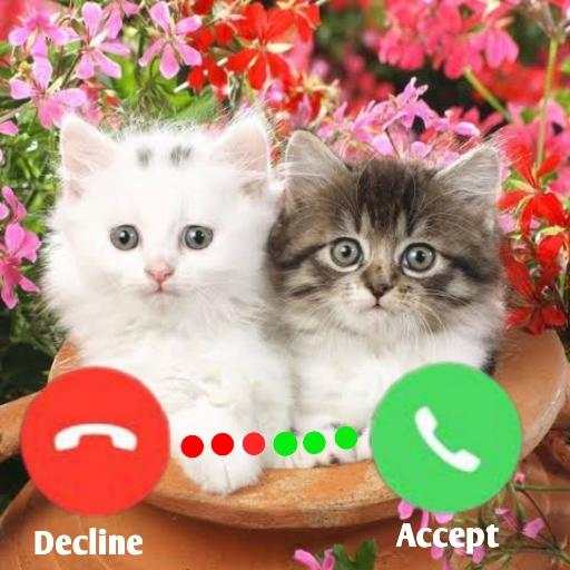 Call Flash Color 3D: Caller Screen Themes Free 1.0.4