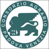 Linee Difesa 2013 icon