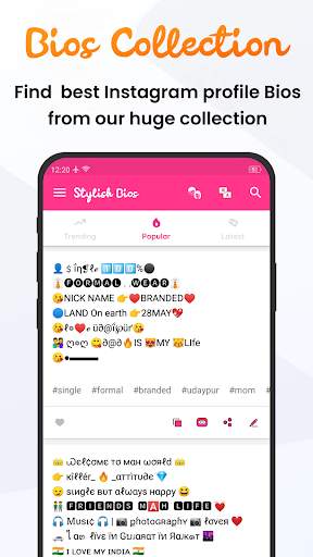 Stylish Bios for Instagram screenshot 2