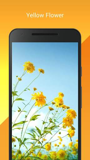 My Flowers Colors HD WALLPAPER screenshot 9