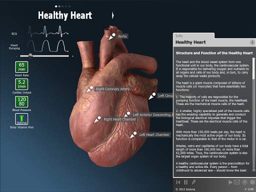 bodyxq heart screenshot 5