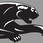 Panther on 9Apps