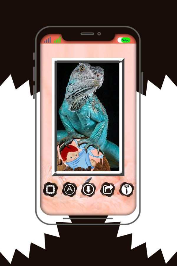 Amazing Wildlife Photo Frame screenshot 6