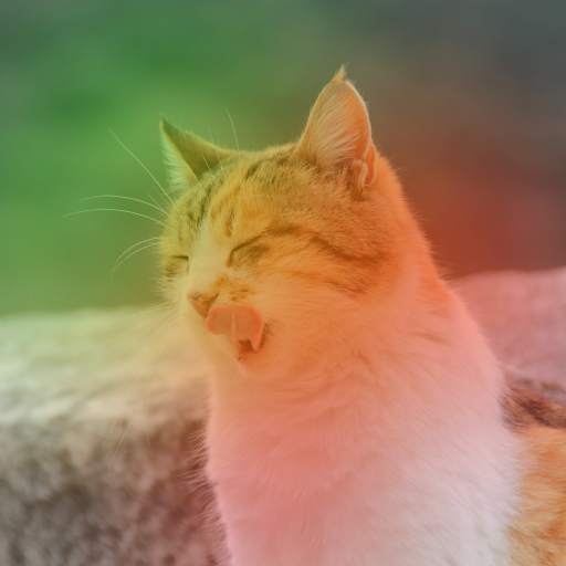 CORA Photo Editor screenshot 4