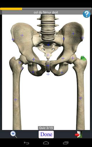 Anatomy Quiz screenshot 16