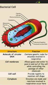 GCSE Additional Science - OCR screenshot 3