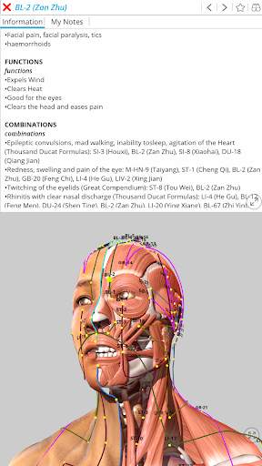 Visual Acupuncture 3D स्क्रीनशॉट 7