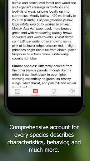 Birds of Ecuador screenshot 7
