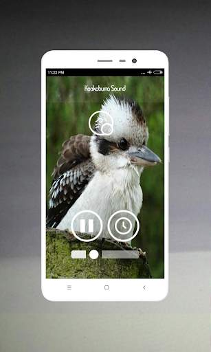 Bird Sounds screenshot 5