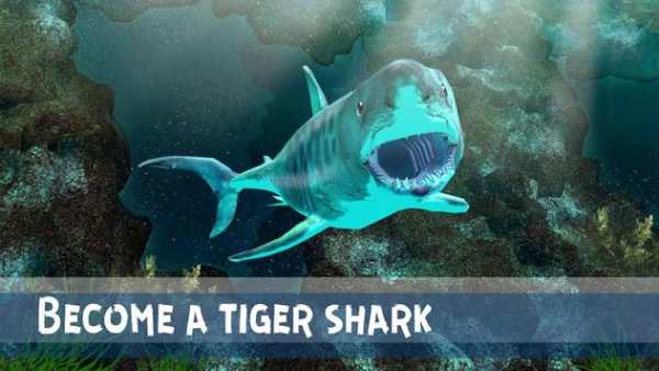 Tiger Shark Attack Simulator screenshot 1