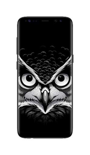 Black and White Wallpaper HD screenshot 2
