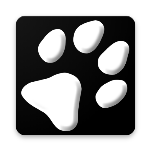 Camera Cards icon