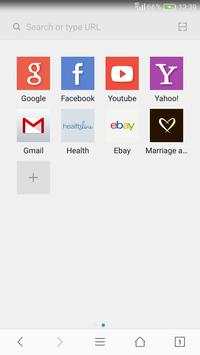 Phoenix Browser screenshot 1