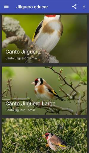 Goldfinch educate скриншот 1