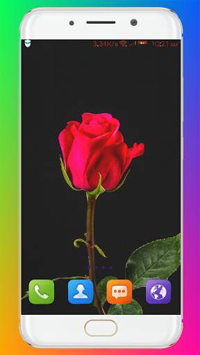 Red Rose Wallpaper screenshot 11