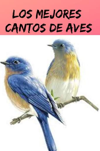 Ringtones and Sounds of Birds, Free Birdsong. स्क्रीनशॉट 11