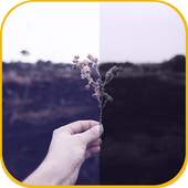 Pic Art Studio X 1.5