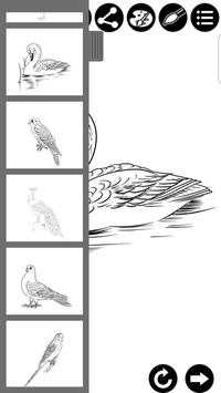 How To Draw Birds screenshot 2