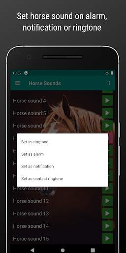Horse Sounds and Ringtone free screenshot 3