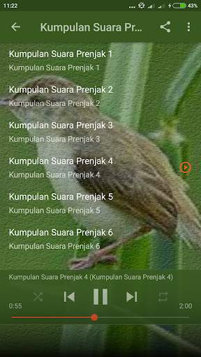 Suara Burung Prenjak Betina Pikat screenshot 4