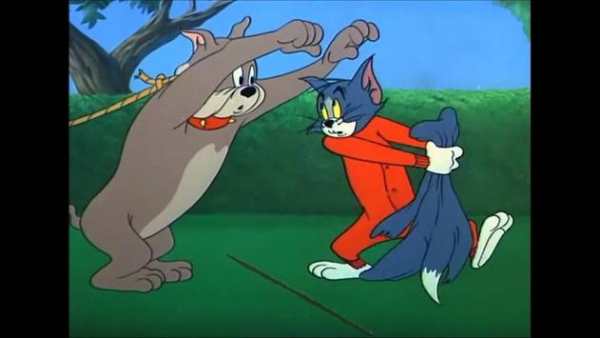 The Tom Cat and Jerry Video screenshot 7