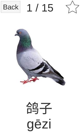 Chinese Picture Dictionary: Animals screenshot 3