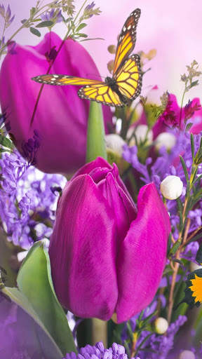 Flower Live Wallpaper Dancing Butterfly screenshot 3