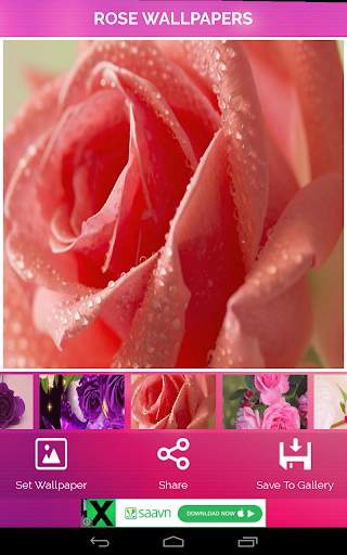 Rose Wallpaper screenshot 8