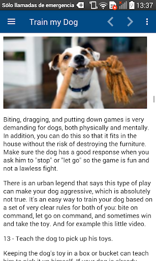 How to Train my Dog Training Dog Offline screenshot 24