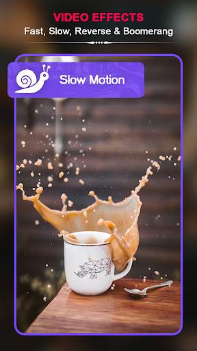 VIDEO Effects - Fast, Slow, Reverse & Boomerang screenshot 2