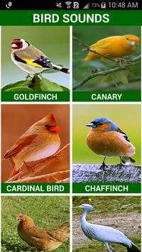 Birds Sounds स्क्रीनशॉट 2