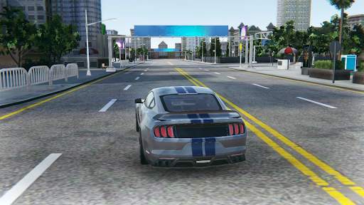 RDS - Driving Simulator screenshot 8
