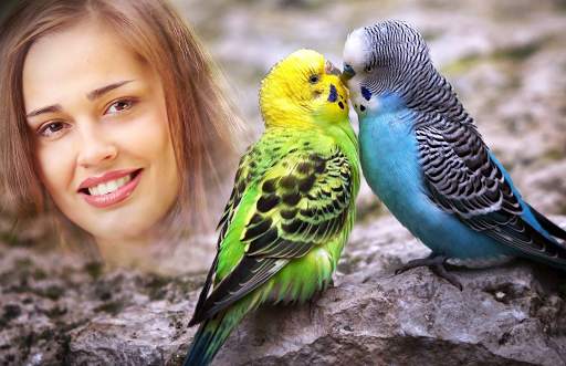 Love Birds Photo Frames screenshot 4