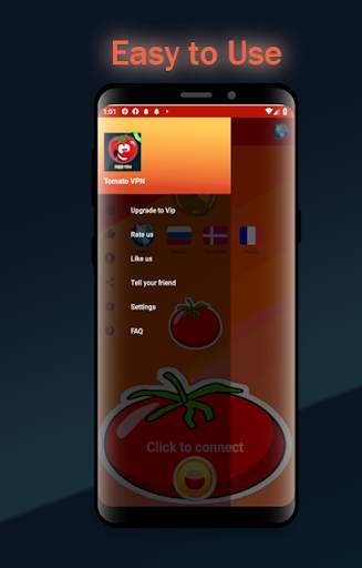 Tomato VPN screenshot 1