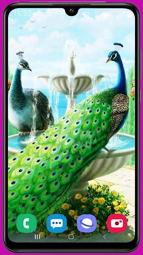 Peacock Wallpaper HD screenshot 3