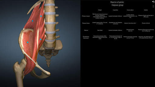 Anatomy Learning - 3D Anatomy Atlas screenshot 5