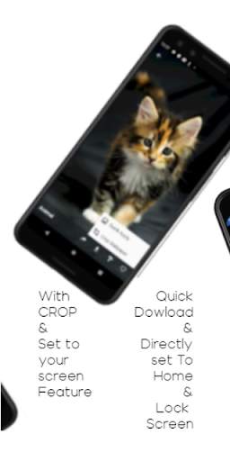 Wizari : The Wallpaper App screenshot 6