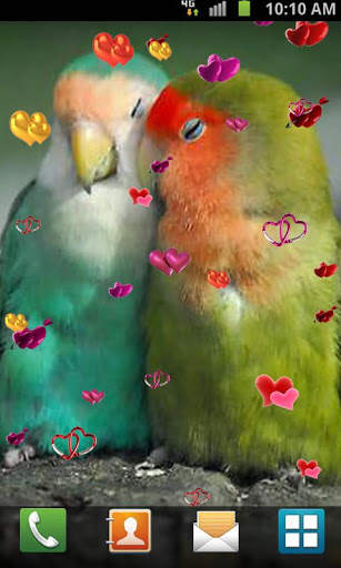 Love Birds Live Wallpaper screenshot 6
